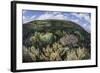 Gorgonians and Reef-Building Corals Near the Blue Hole in Belize-Stocktrek Images-Framed Photographic Print