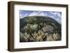 Gorgonians and Reef-Building Corals Near the Blue Hole in Belize-Stocktrek Images-Framed Photographic Print