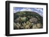 Gorgonians and Reef-Building Corals Near the Blue Hole in Belize-Stocktrek Images-Framed Photographic Print