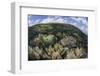 Gorgonians and Reef-Building Corals Near the Blue Hole in Belize-Stocktrek Images-Framed Photographic Print