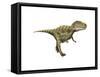 Gorgosaurus Dinosaur-null-Framed Stretched Canvas