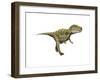 Gorgosaurus Dinosaur-null-Framed Art Print