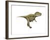 Gorgosaurus Dinosaur-null-Framed Art Print