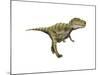 Gorgosaurus Dinosaur-null-Mounted Art Print