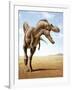 Gorgosaurus Running across an Open Desert-null-Framed Art Print