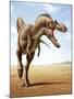 Gorgosaurus Running across an Open Desert-null-Mounted Art Print