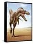 Gorgosaurus Running across an Open Desert-null-Framed Stretched Canvas