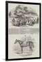 Gorhambury Races-null-Framed Giclee Print