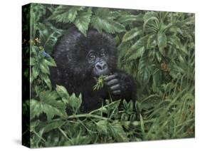 Gorilla 1-Michael Jackson-Stretched Canvas