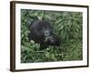 Gorilla 1-Michael Jackson-Framed Giclee Print