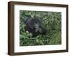 Gorilla 1-Michael Jackson-Framed Premium Giclee Print