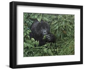 Gorilla 1-Michael Jackson-Framed Premium Giclee Print