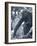 Gorilla 2-Gordon Semmens-Framed Photographic Print