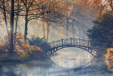 Autumn - Old Bridge in Autumn Misty Park-Gorilla-Photographic Print