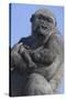 Gorilla Cradling Baby-DLILLC-Stretched Canvas