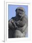 Gorilla Cradling Baby-DLILLC-Framed Photographic Print