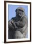 Gorilla Cradling Baby-DLILLC-Framed Photographic Print