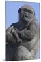 Gorilla Cradling Baby-DLILLC-Mounted Photographic Print