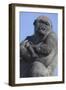 Gorilla Cradling Baby-DLILLC-Framed Photographic Print