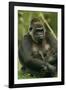 Gorilla Cuddles Baby-null-Framed Photographic Print