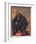 Gorilla, Cuthbert Swan-Cuthbert Swan-Framed Art Print