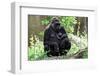 Gorilla Mom and Baby-Gary Carter-Framed Photographic Print