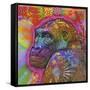 Gorilla, Monkeys, Chimp, Pop Art, Animals, Looking over your shoulder, Stencils, Colorful-Russo Dean-Framed Stretched Canvas