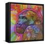 Gorilla, Monkeys, Chimp, Pop Art, Animals, Looking over your shoulder, Stencils, Colorful-Russo Dean-Framed Stretched Canvas