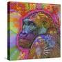 Gorilla, Monkeys, Chimp, Pop Art, Animals, Looking over your shoulder, Stencils, Colorful-Russo Dean-Stretched Canvas