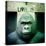 Gorilla Sculpture-Craig Roberts-Stretched Canvas