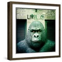 Gorilla Sculpture-Craig Roberts-Framed Photographic Print