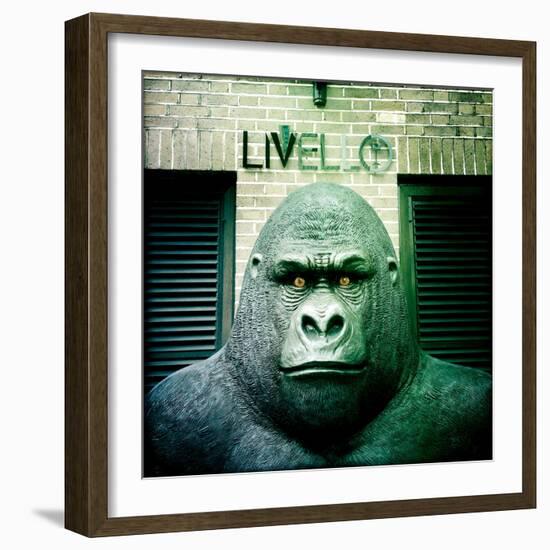 Gorilla Sculpture-Craig Roberts-Framed Photographic Print