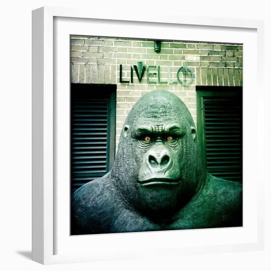 Gorilla Sculpture-Craig Roberts-Framed Photographic Print