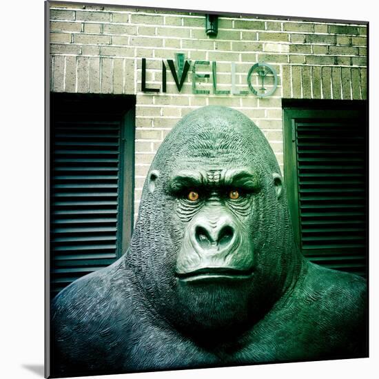 Gorilla Sculpture-Craig Roberts-Mounted Photographic Print