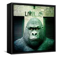 Gorilla Sculpture-Craig Roberts-Framed Stretched Canvas