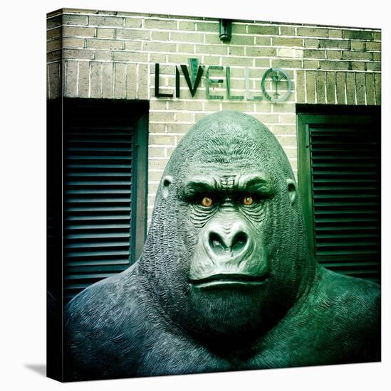 Gorilla Sculpture-Craig Roberts-Stretched Canvas