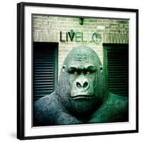 Gorilla Sculpture-Craig Roberts-Framed Photographic Print