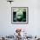Gorilla Sculpture-Craig Roberts-Framed Photographic Print displayed on a wall