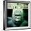 Gorilla Sculpture-Craig Roberts-Framed Photographic Print