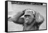 Gorilla Smashing Soccer Ball on Head-null-Framed Stretched Canvas