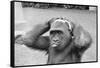 Gorilla Smashing Soccer Ball on Head-null-Framed Stretched Canvas