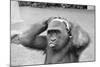Gorilla Smashing Soccer Ball on Head-null-Mounted Photographic Print