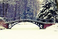 Winter Scene - Old Bridge in Winter Snowy Park-Gorilla-Photographic Print