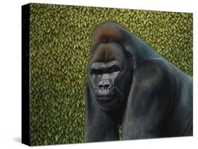 Gorilla with a Hedge-James W. Johnson-Stretched Canvas