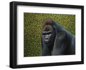 Gorilla with a Hedge-James W. Johnson-Framed Premium Giclee Print