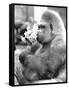 Gorilla with Flowers-Associated Newspapers-Framed Stretched Canvas