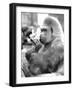 Gorilla with Flowers-Associated Newspapers-Framed Photo