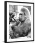 Gorilla with Flowers-Associated Newspapers-Framed Photo