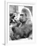 Gorilla with Flowers-Associated Newspapers-Framed Photo