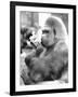 Gorilla with Flowers-Associated Newspapers-Framed Photo